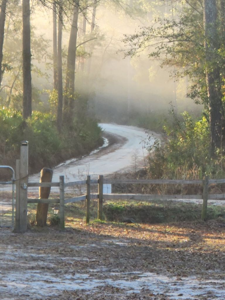 20230201_0810535062847914224508623