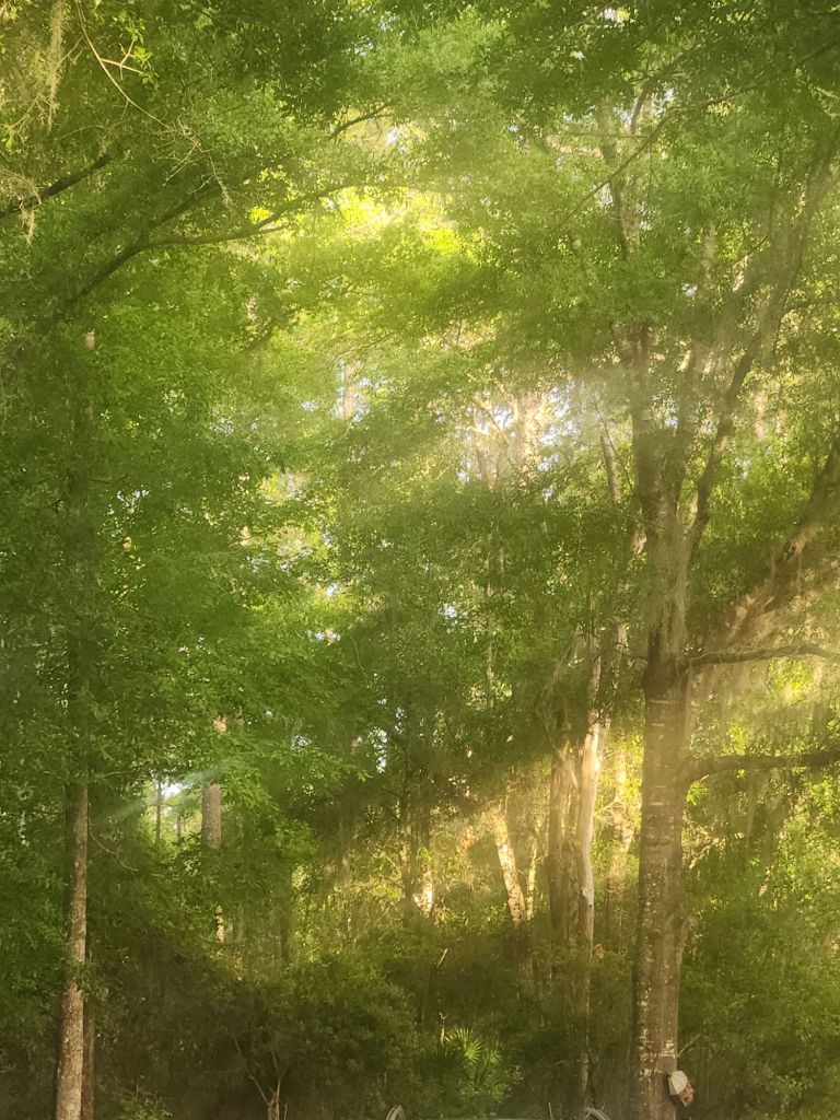 20250513_1930554709523153477136781