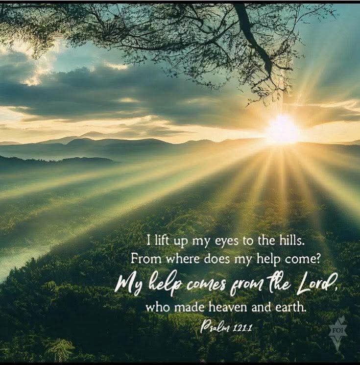 fb_img_17556552773091504350969841988651