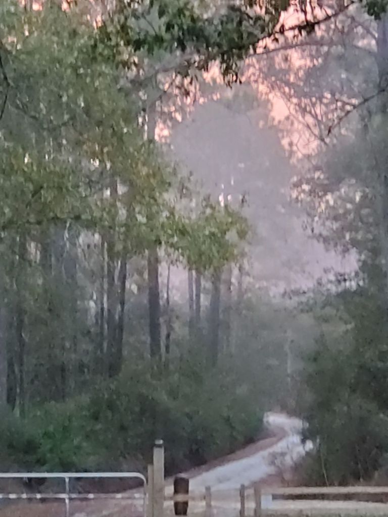 20201231_0735164801090233755015238