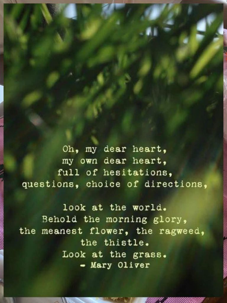 fb_img_17585688017911457985601785269236