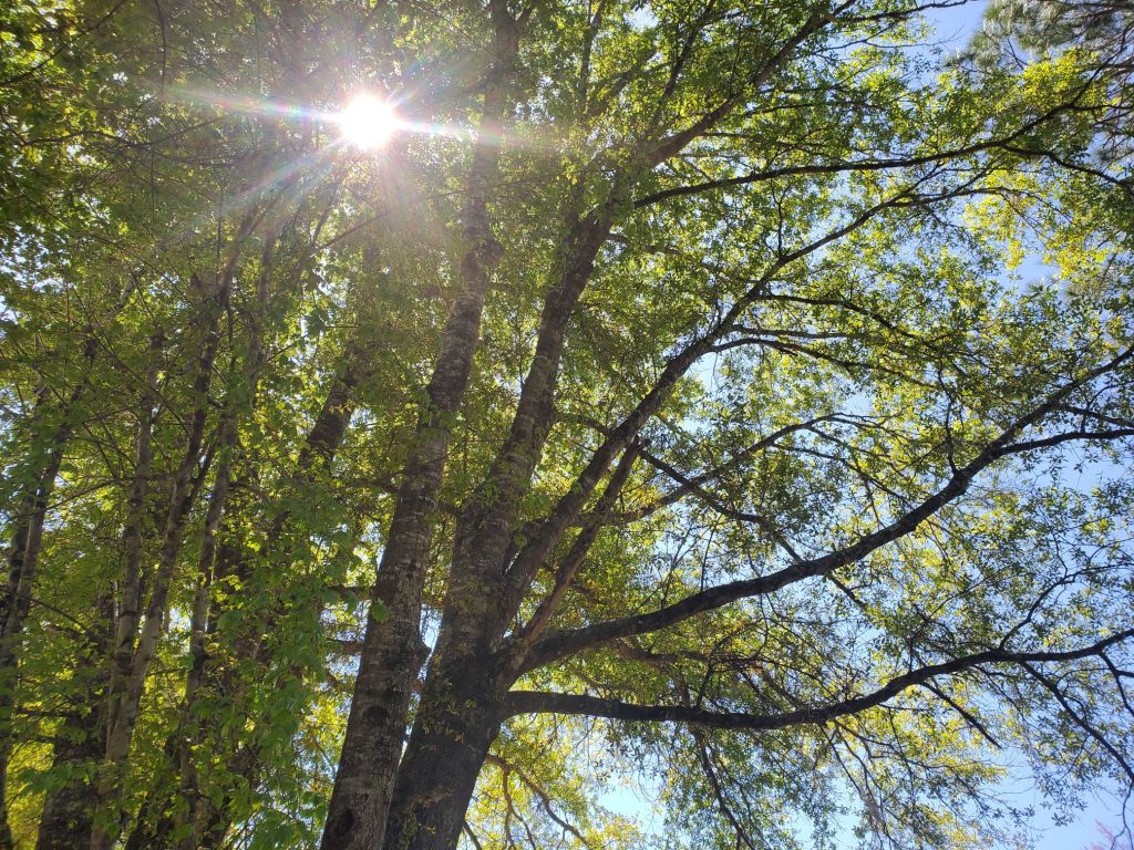 20190322_135650689141007127132732