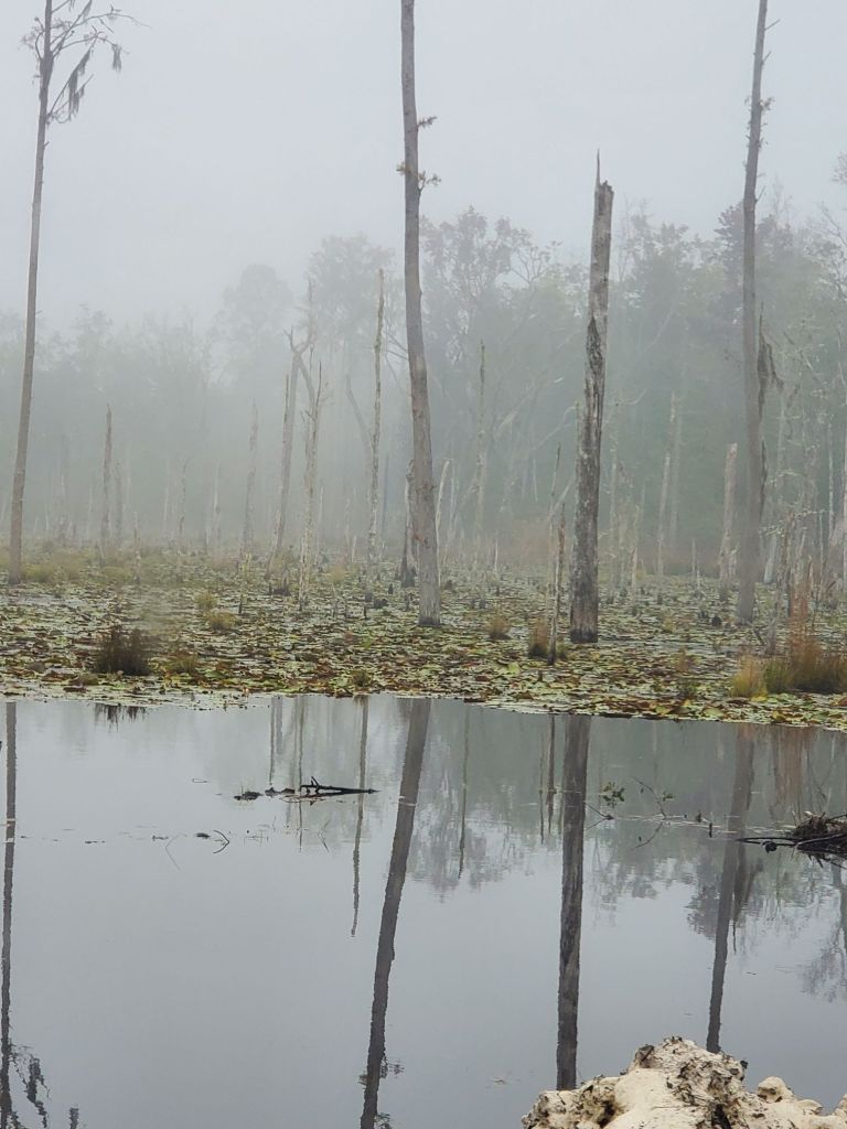 20211103_0952185428379205921784686