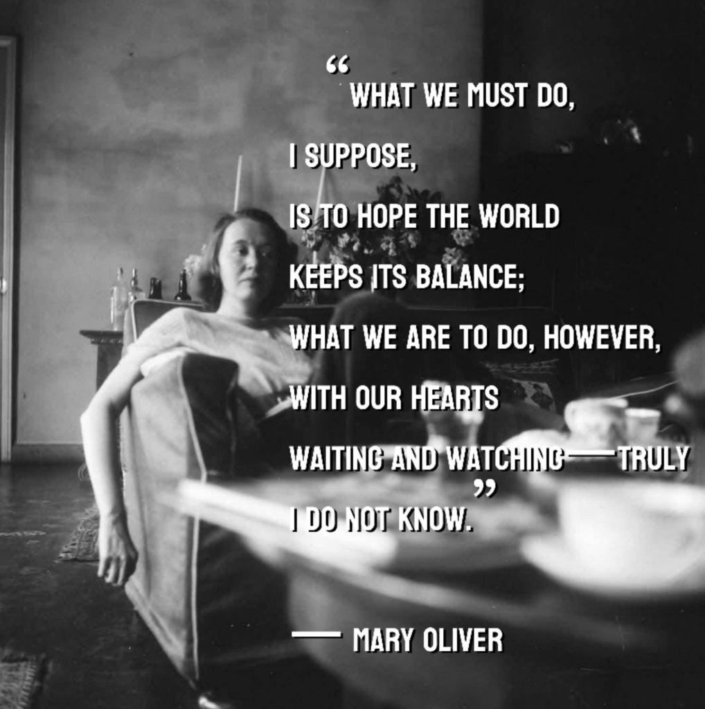 fb_img_17583963523201429448513595027559