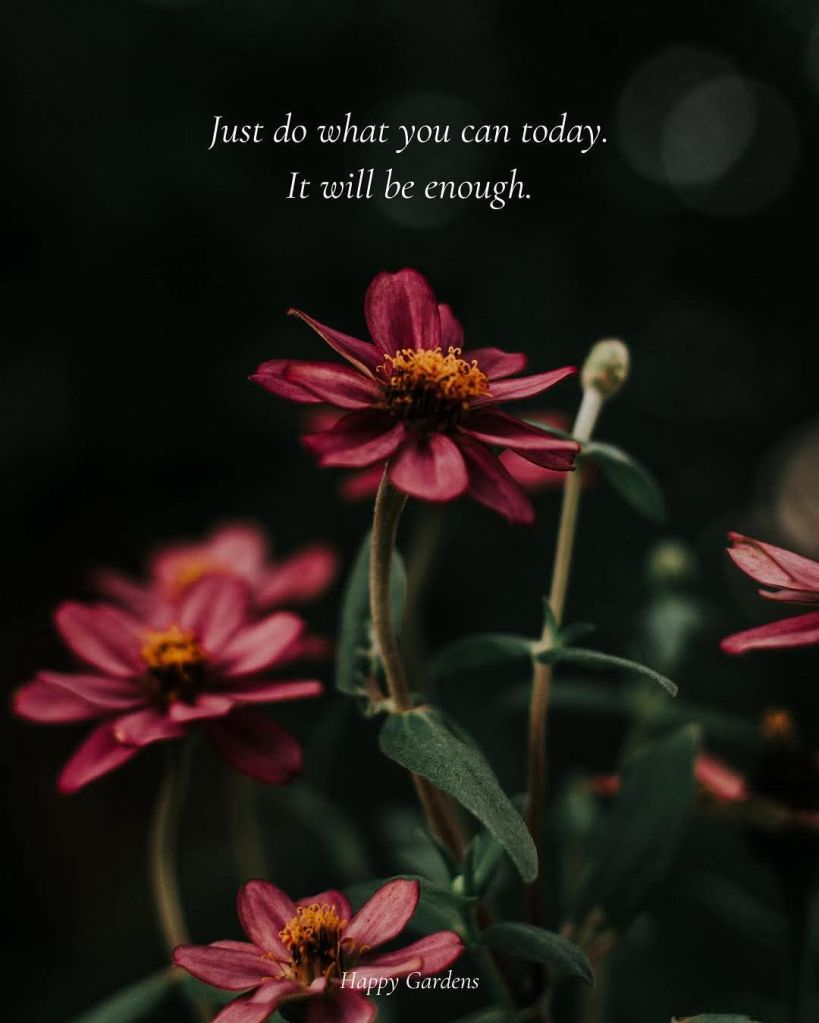 fb_img_17602984020623292055913599772719