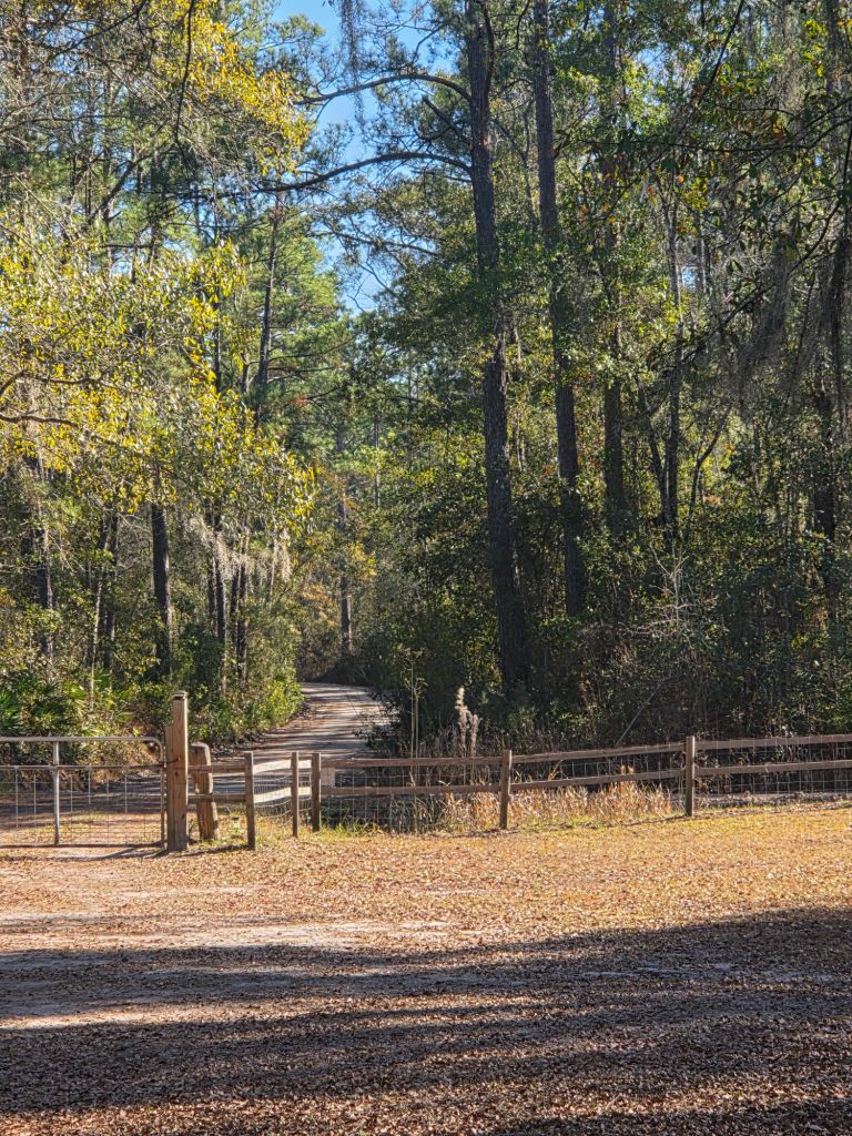 20251221_1444358093567454549420513