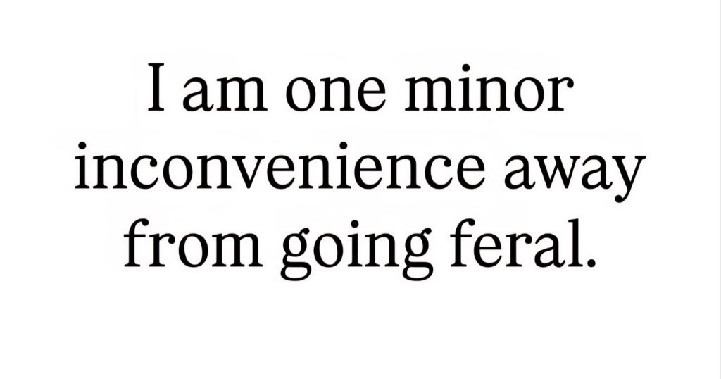 fb_img_17649015973145579189960504449119