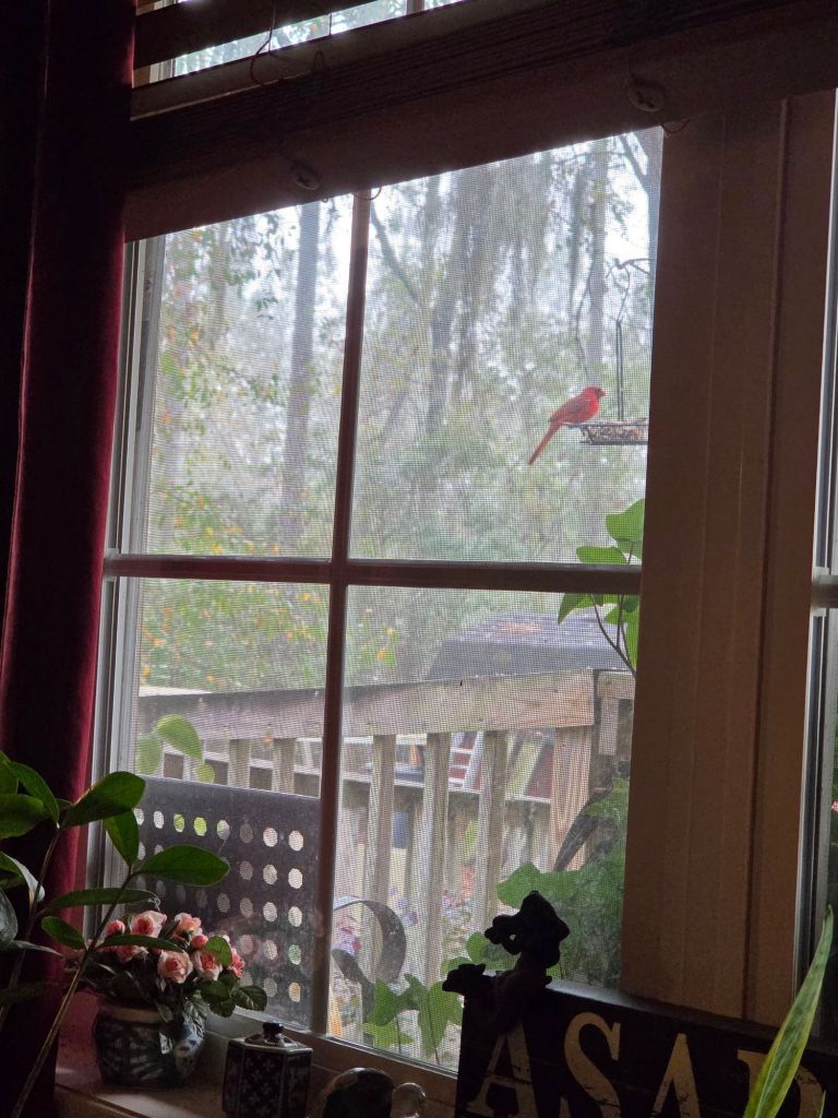 20260109_0924427912486218214058829