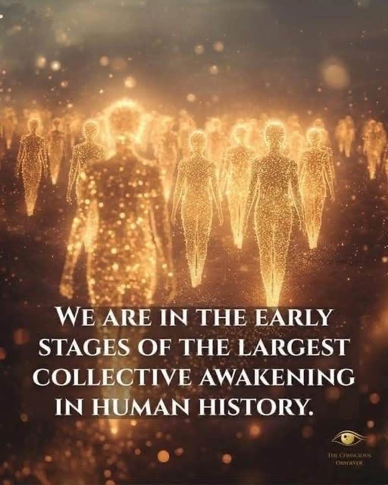 fb_img_17666267534952361331673841904577