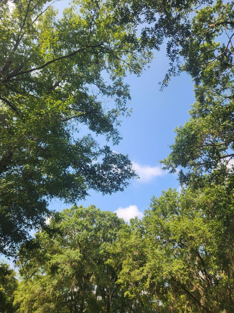 20250816_1049097263849015699045474