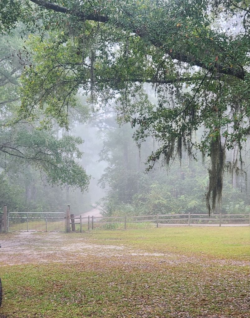 20250927_0813201591100149839553883