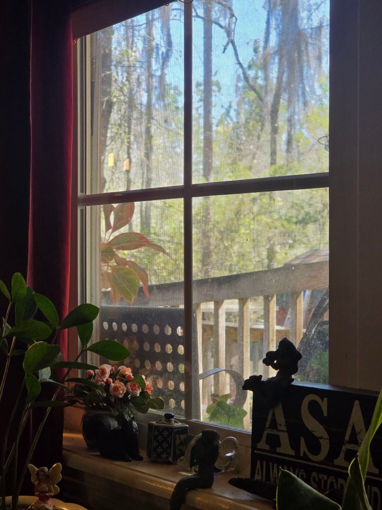 20260314_1210587164694493286281601