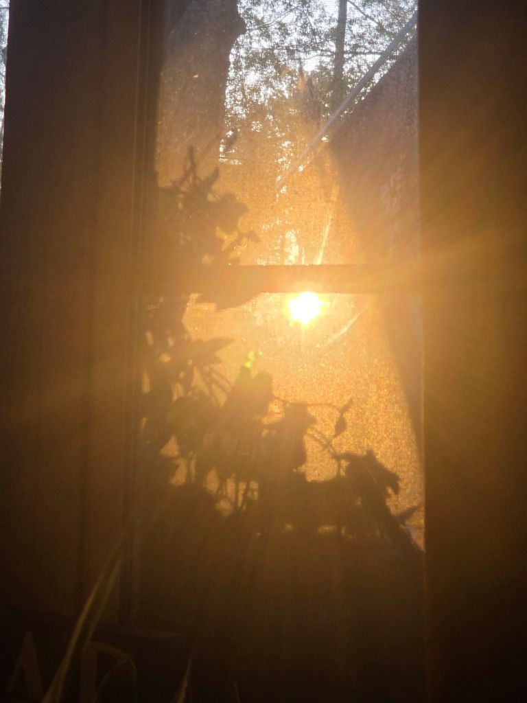 20260318_0750232832971958604606909