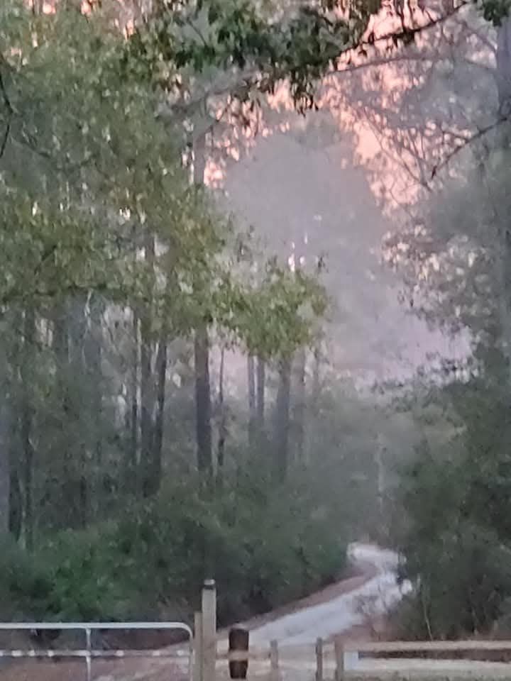 fb_img_17356574812983860155624113327487