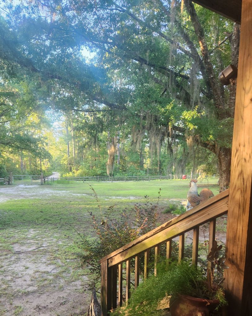 20250623_0712373910677871758505909