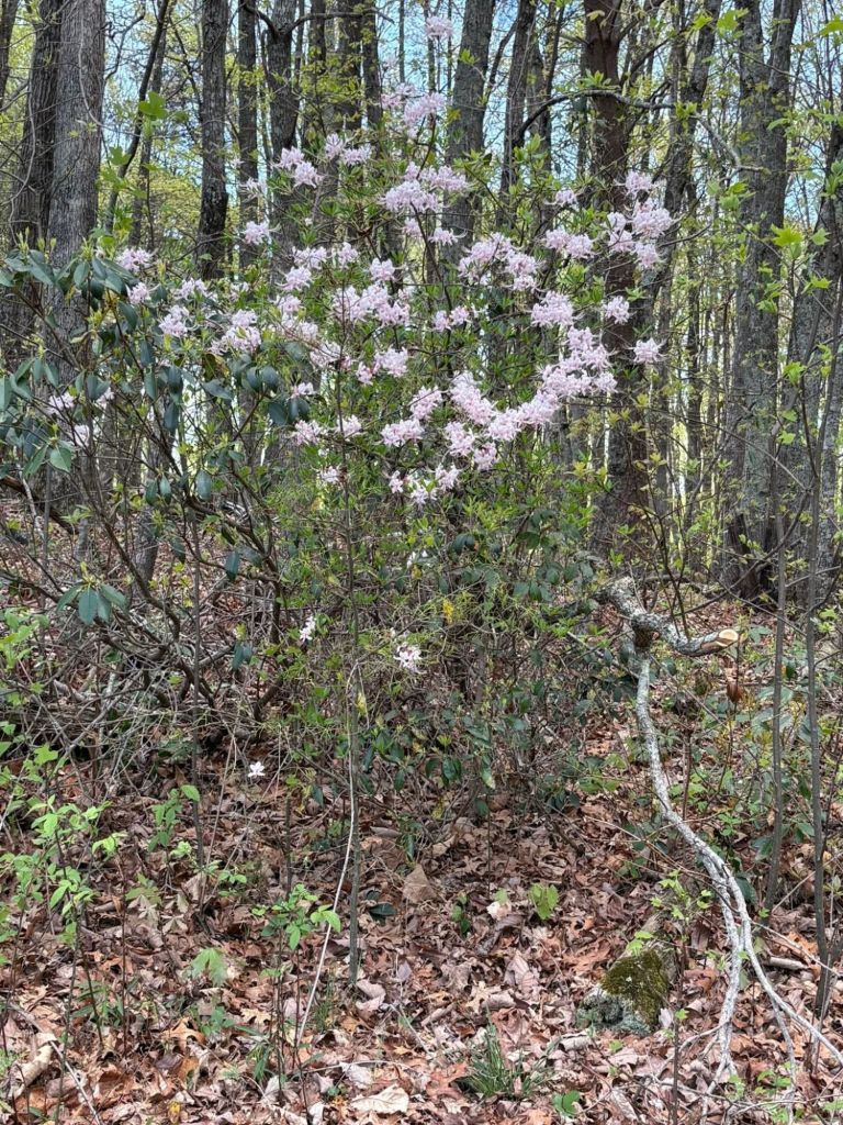 fb_img_17760867087656220627005564170773